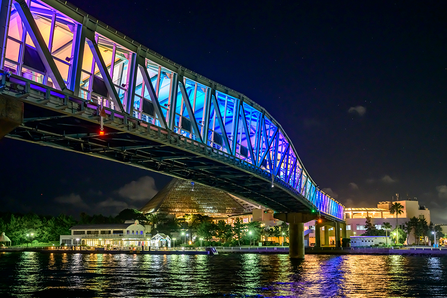 Yokohama Hakkeijima Sea Paradise：4