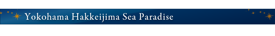 Yokohama Hakkeijima Sea Paradise